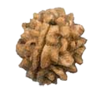 Fake IMg 1