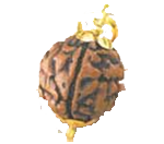 Fake Img 3