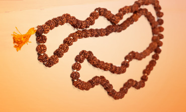 6 Things About Pious Rudraksha Mala You Should Know