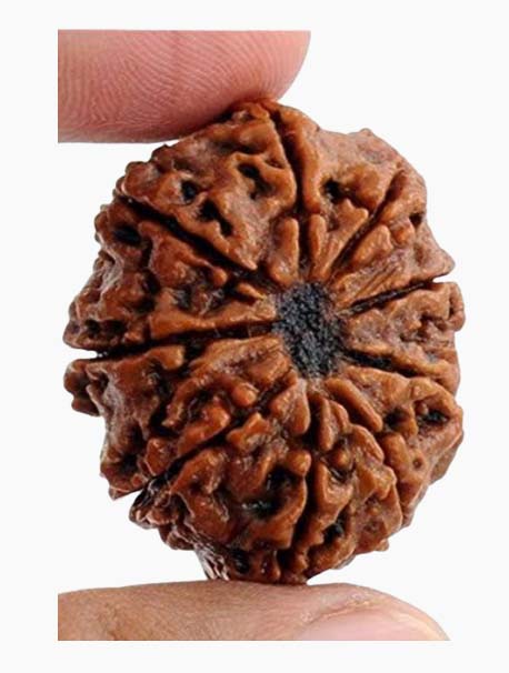9 mukhi