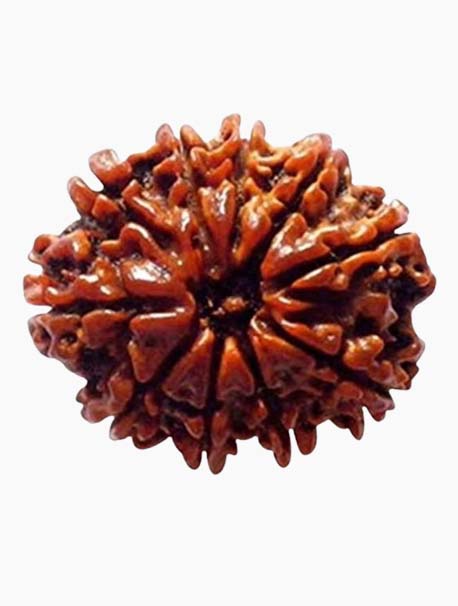 10 mukhi