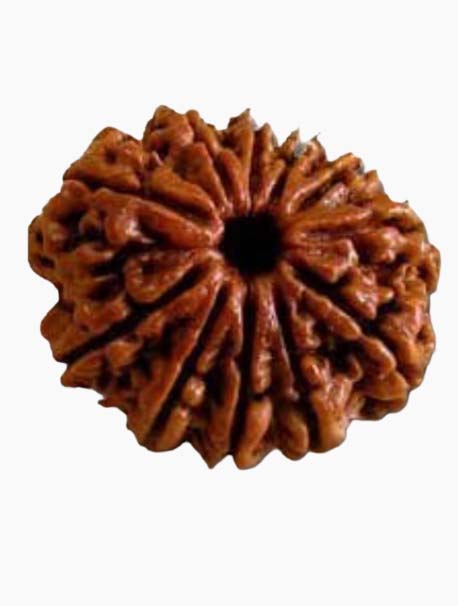 11 mukhi